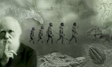 Teşekkürler Darwin(!)