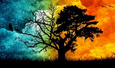 Şeytan Seninleyse, Allah Benimle!