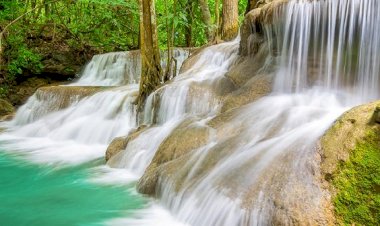 Meğer Cennet Bura İmiş