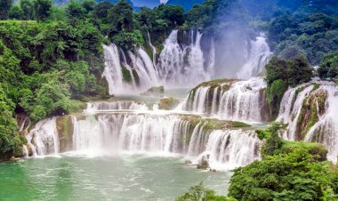 Seni Candan Anamadım