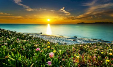 Kim Kime Hizmet Ediyor?