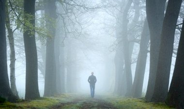 İbretle Bakmıyorsa…