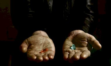 İster Yap, İster Yapma!