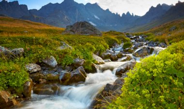 Yine Neredesin Gönül?