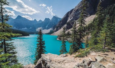 Elif İle Mim’den Gelir