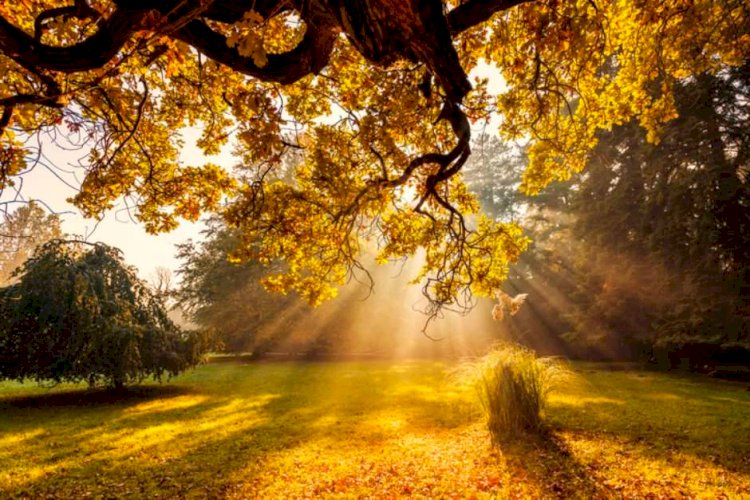 Geçen Yıllar Geri Gelse