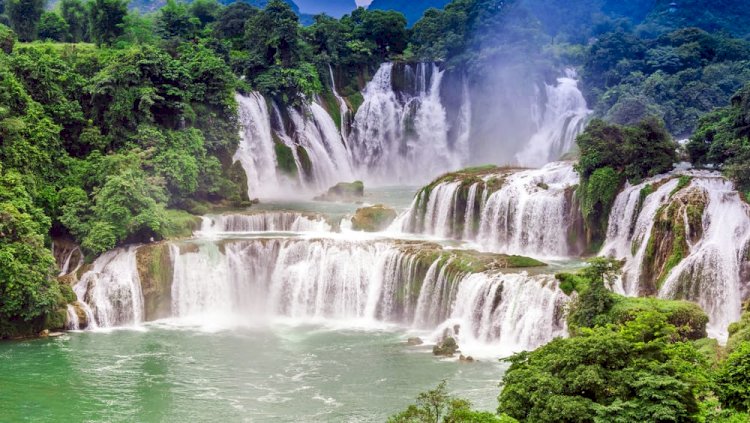 Seni Candan Anamadım