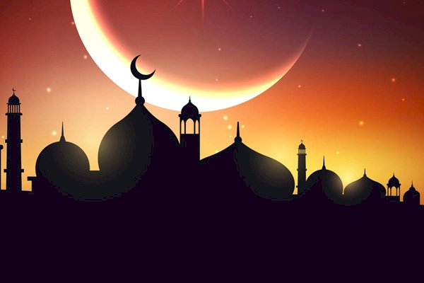 Elimden Bırakmadılar...